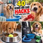 40 Genius Dog Care Hacks Every Owner Should Know