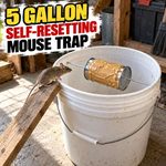 5 Gallon, Self-Resetting Mouse Trap
