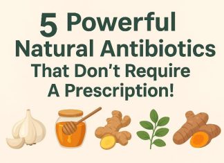 Powerful Natural Antibiotic – Kills Any Infections in The Body 5 Powerful Natural Antibiotics That Don't Require A Prescription!