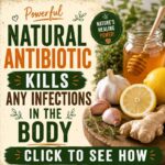 5 Powerful Natural Antibiotics That Don't Require A Prescription! 🌿💊