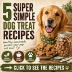 5 Super Simple Dog Treat Recipes