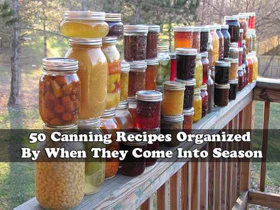50 Canning Recipes Organized By When They Come Into Season
