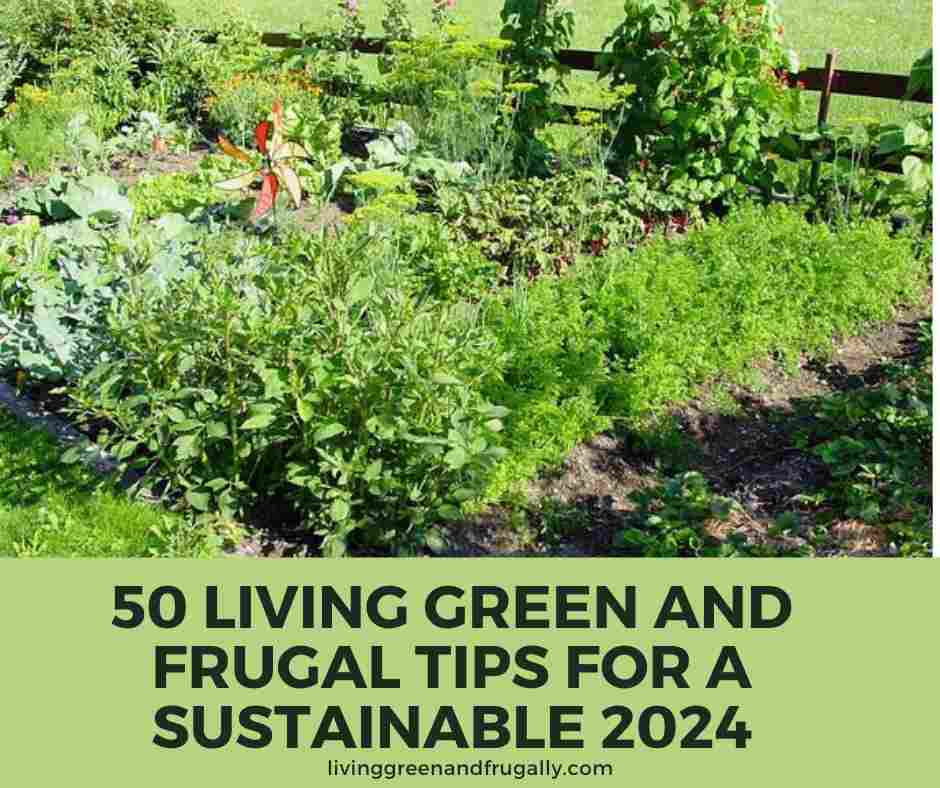 50 Living Green and Frugal Tips for a Sustainable 2024