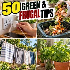 50 Living Green and Frugal Tips for a Sustainable 50 Living Green and Frugal Tips for a Sustainable