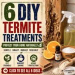 6 DIY Termite Treatments