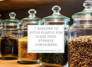 7 Reasons To Ditch Plastic For Glass Food Storage Containers 7 Reasons To Ditch Plastic For Glass