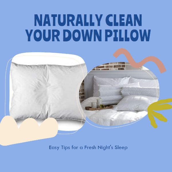 A Natural Guide to Washing Down Pillows and Beyond