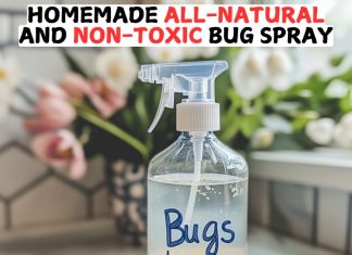 Homemade All-Natural And Non-Toxic Bug Spray! Homemade All-Natural And Non-Toxic Bug Spray