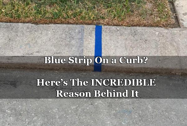 Blue Strip On a Curb? Here’s The INCREDIBLE Reason Behind It