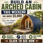 Build An Arched Cabin This Weekend For Under $5,000