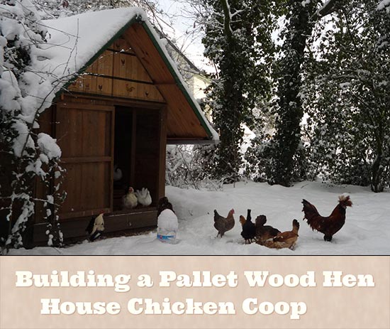  Building a Pallet Wood Hen House Chicken Coop