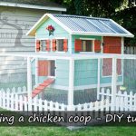 Building a chicken coop - DIY tutorial