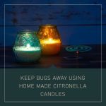 Citronella Candles /shutterstock