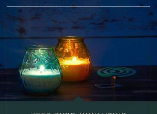 Keep Bugs Away Using Home Made Citronella Candles Citronella Candles /shutterstock