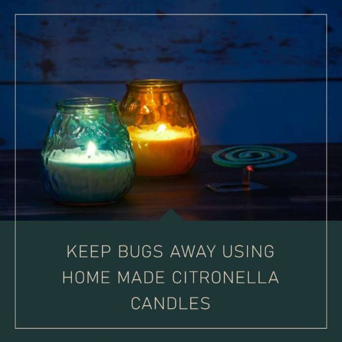 Keep Bugs Away Using Home Made Citronella Candles