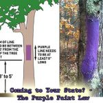 Coming to Your State? - The Purple Paint Law