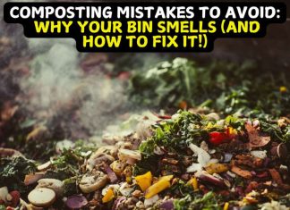 Composting Mistakes to Avoid: Why Your Bin Smells (And How to Fix It!) Composting Mistakes to Avoid