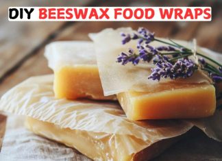 DIY Beeswax Food Wraps DIY Beeswax Food Wraps