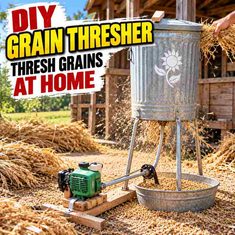 DIY Grain Thresher – How To Thresh Grains At Home DIY Grain Thresher – How To Thresh Grains At Home