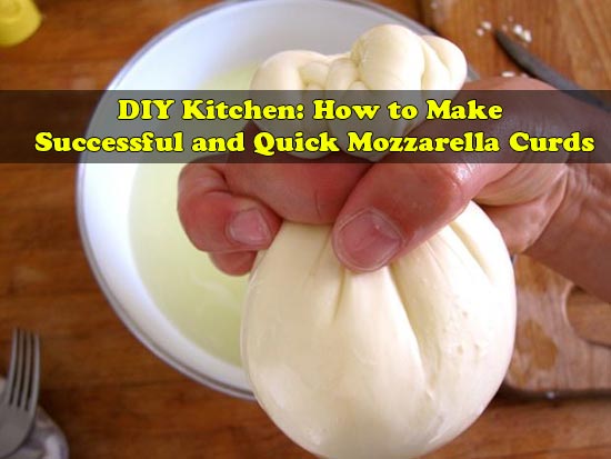 DIY Kitchen: How to Make Successful and Quick Mozzarella Curds