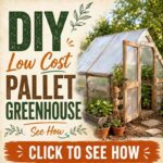 DIY Low Cost Pallet Greenhouse