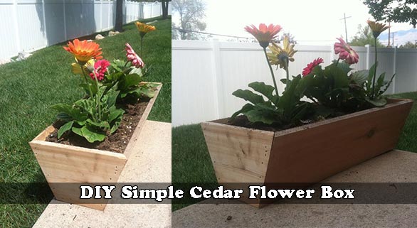 **DIY** Simple Cedar Flower Box