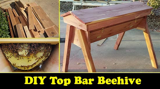 DIY Top Bar Beehive