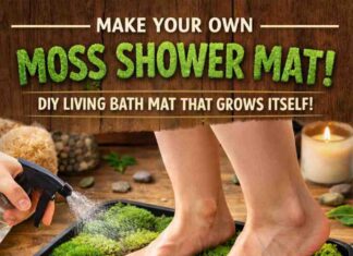 How to Make a Moss Shower Mat DIY moss shower mat tutorial