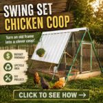 DIY: Swing Set Chicken Coop