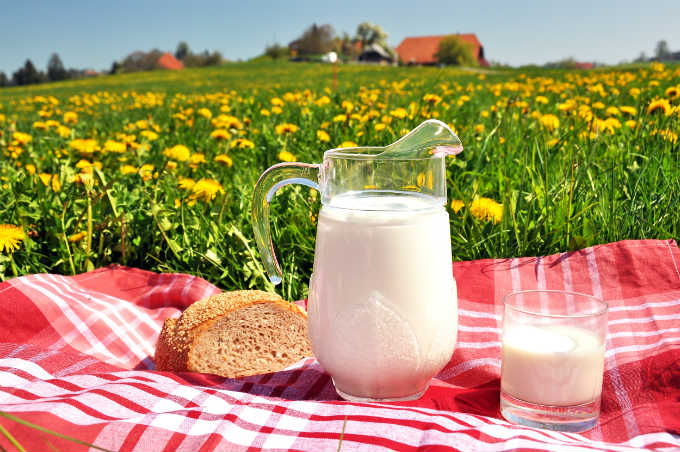 Dandelion Bread