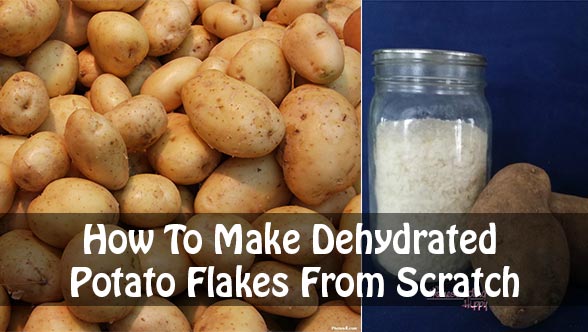 Dehydrated Potato Flakes From Scratch