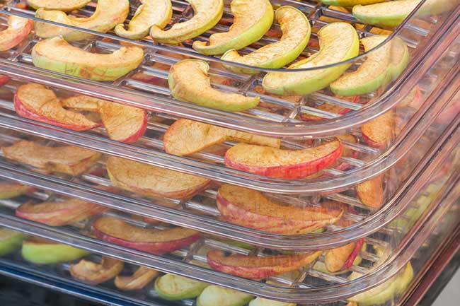 Dehydrating Veggies 