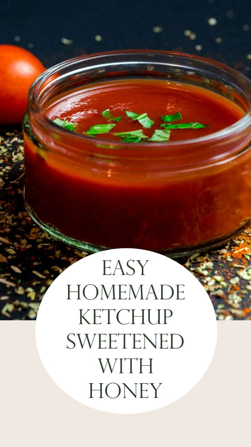 Easy Homemade Ketchup Sweetened With Honey 