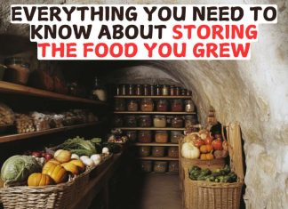 Everything You Need To Know About Storing The Food You Grew Everything You Need To Know About Storing The Food You Grew