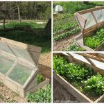 Garden Inspiration: Build an Amish Cold Frame