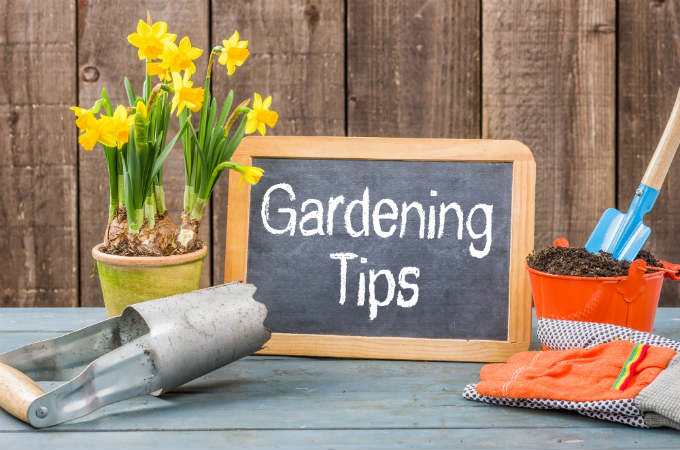 Gardening Secrets 