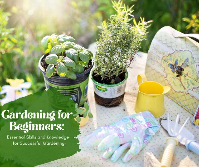 Gardening for Beginners: