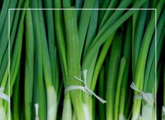 How to Grow Green Onions Indefinitely Grow Green Onions Indefinitely