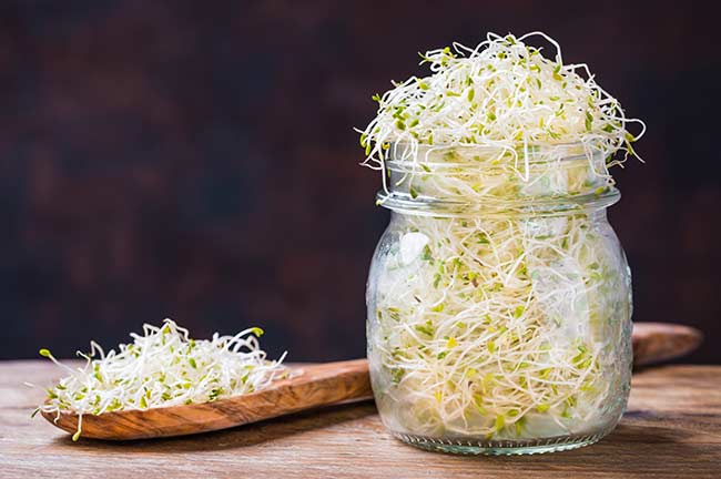 Grow sprouts in a jar