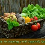 Guide-To-Growing-a-Fall-Vegetable-Garden