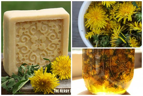 Handmade Dandelion Soap (Crock Pot Method)
