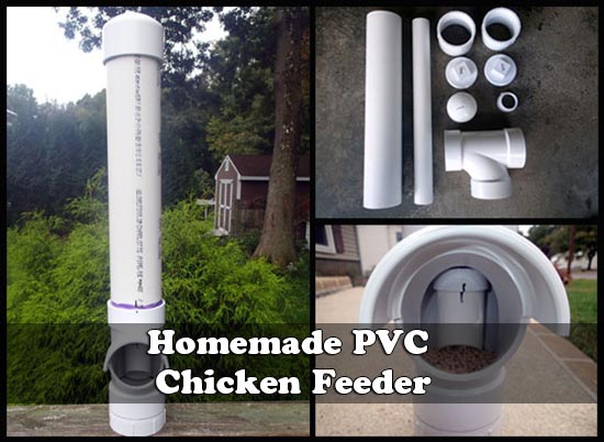 Home Made PVC Chicken Feeder