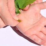 Home Remedies To Get Rid of Warts