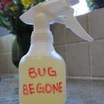 Homemade All-Natural And Non-Toxic Bug Spray