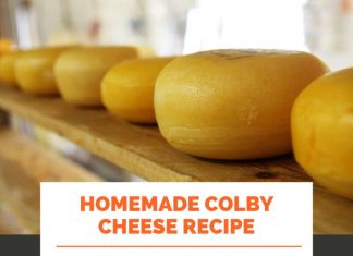 Homemade Colby Cheese Recipe Homemade Colby Cheese Recipe