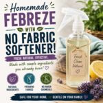 Homemade Febreze: DIY Freshness with or without Fabric Softener