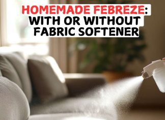 Homemade Febreze: DIY Freshness with or without Fabric Softener Homemade Febreze: DIY Freshness with or without Fabric Softener