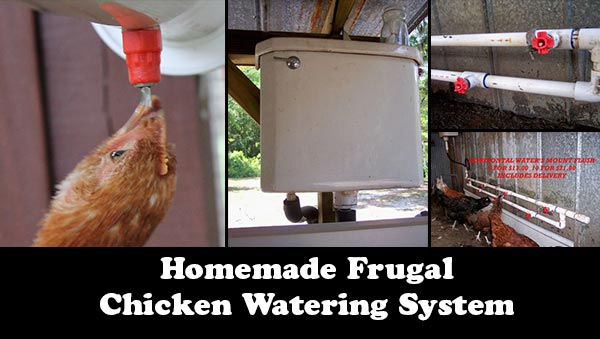 Homemade Frugal Chicken Watering System 