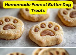 Homemade Peanut Butter Dog Treats Homemade Peanut Butter Dog Treats