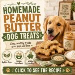 Homemade Peanut Butter Dog Treats